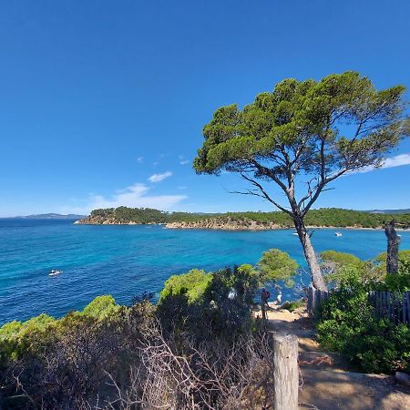 Coquet Studio Avec Belle Terrasse La Londe-les-Maures Exterior foto
